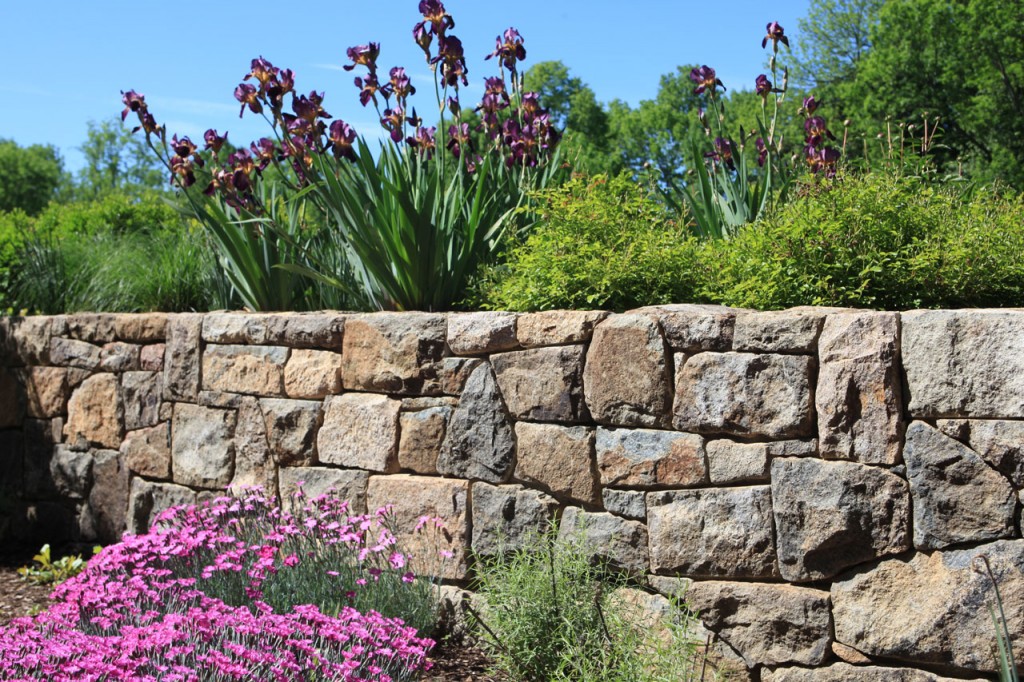 Stone-Retaining-Wall-with-Perennials-By-Wash-DC-in-Fairfax-County